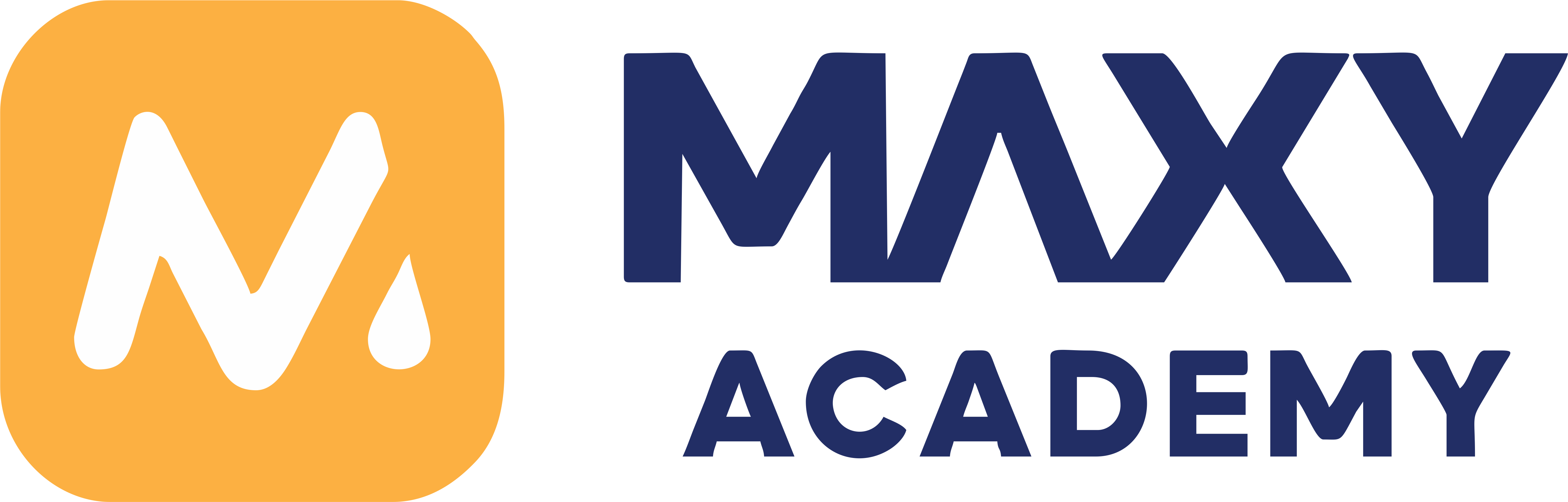 MAXY Academy Logo